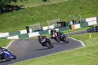 cadwell-no-limits-trackday;cadwell-park;cadwell-park-photographs;cadwell-trackday-photographs;enduro-digital-images;event-digital-images;eventdigitalimages;no-limits-trackdays;peter-wileman-photography;racing-digital-images;trackday-digital-images;trackday-photos